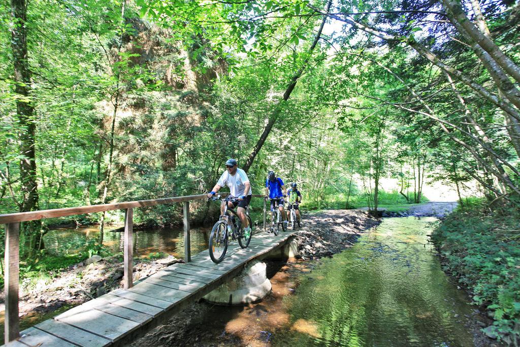 Hotellerie De Plein Air Camping Leychoisier Bonnac-la-Côte المظهر الخارجي الصورة